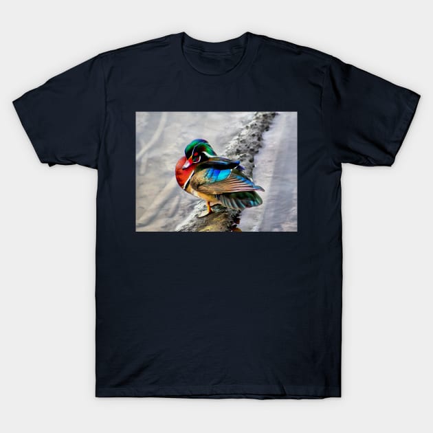 Wood Duck with Watercolor Effects T-Shirt by SeaChangeDesign
